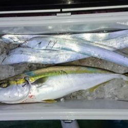 火遠理丸（ほおりまる） 釣果