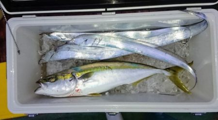 火遠理丸（ほおりまる） 釣果