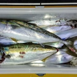 火遠理丸（ほおりまる） 釣果