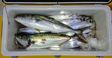 火遠理丸（ほおりまる） 釣果