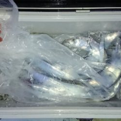 火遠理丸（ほおりまる） 釣果