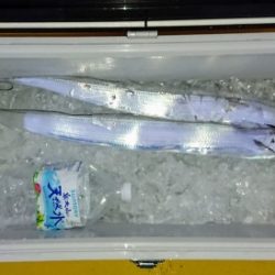 火遠理丸（ほおりまる） 釣果