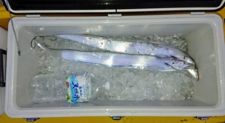 火遠理丸（ほおりまる） 釣果