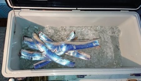 火遠理丸（ほおりまる） 釣果