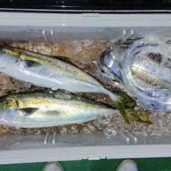 火遠理丸（ほおりまる） 釣果