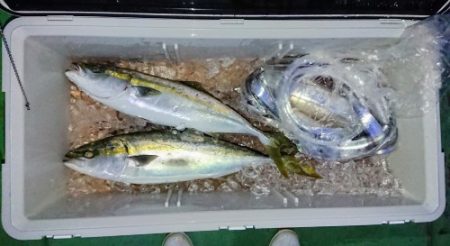 火遠理丸（ほおりまる） 釣果