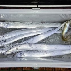 火遠理丸（ほおりまる） 釣果