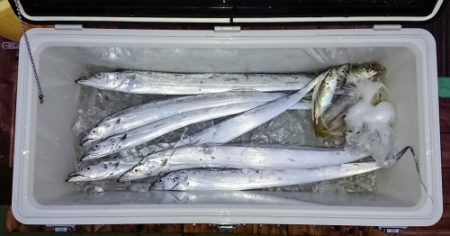 火遠理丸（ほおりまる） 釣果