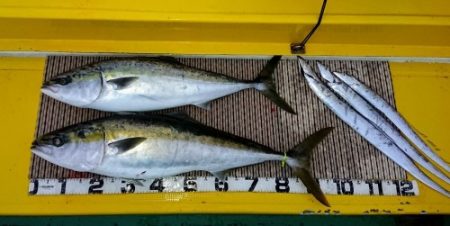 火遠理丸（ほおりまる） 釣果