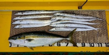 火遠理丸（ほおりまる） 釣果