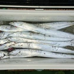 火遠理丸（ほおりまる） 釣果