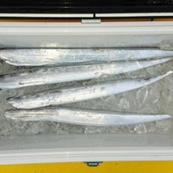 火遠理丸（ほおりまる） 釣果