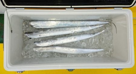 火遠理丸（ほおりまる） 釣果