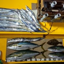 火遠理丸（ほおりまる） 釣果