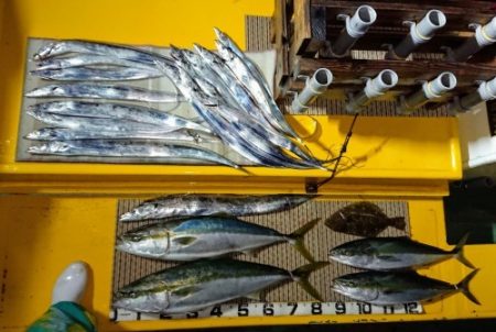 火遠理丸（ほおりまる） 釣果