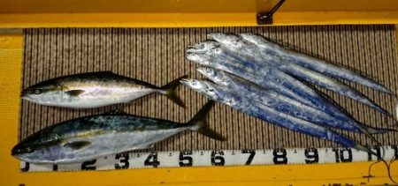 火遠理丸（ほおりまる） 釣果