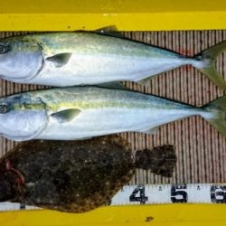 火遠理丸（ほおりまる） 釣果