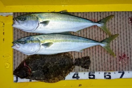 火遠理丸（ほおりまる） 釣果