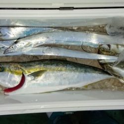 火遠理丸（ほおりまる） 釣果