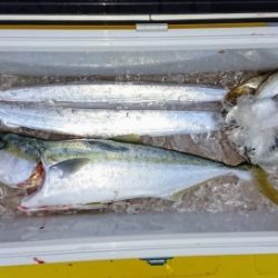 火遠理丸（ほおりまる） 釣果