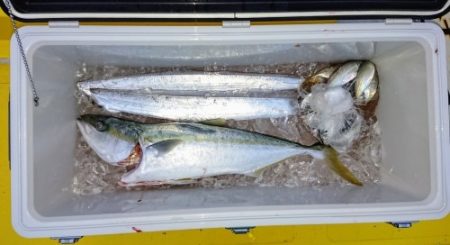 火遠理丸（ほおりまる） 釣果