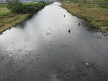 狩野川(狩野川漁業協同組合) 釣果