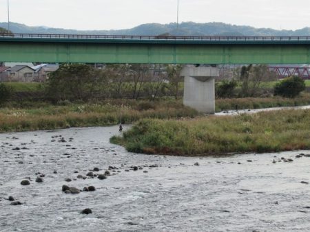 狩野川(狩野川漁業協同組合) 釣果