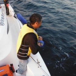 開進丸 釣果