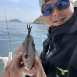 Magic(マジック) 釣果