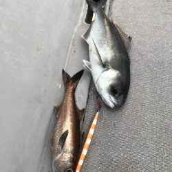 へいみつ丸 釣果