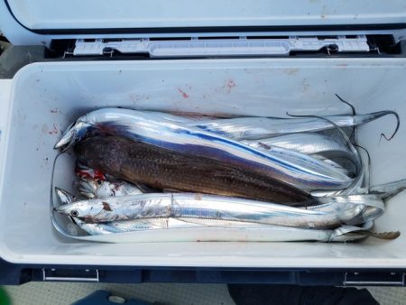 遊漁船 ニライカナイ 釣果