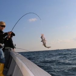 へいみつ丸 釣果