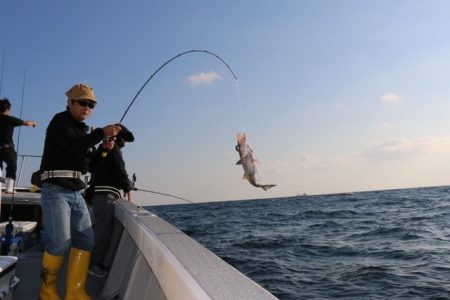 へいみつ丸 釣果