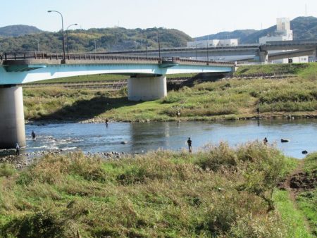 狩野川(狩野川漁業協同組合) 釣果