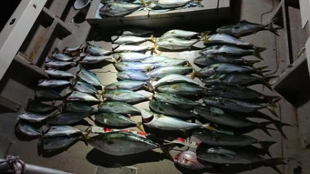 スカイマリン 釣果