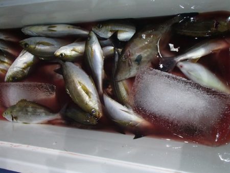 第二むつ漁丸 釣果