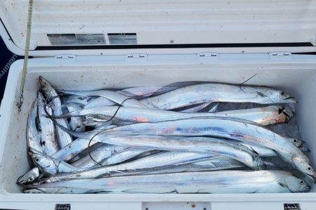 遊漁船 ニライカナイ 釣果