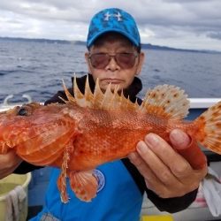 しまや丸 釣果