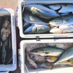 気仙沼　つり丸 釣果