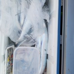 遊漁船 ニライカナイ 釣果