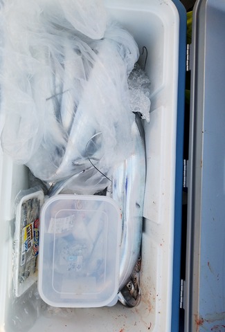 遊漁船 ニライカナイ 釣果