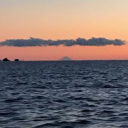 へいみつ丸 釣果