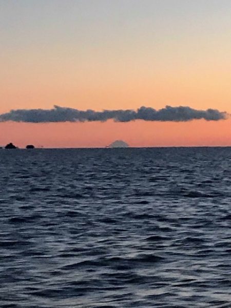 へいみつ丸 釣果