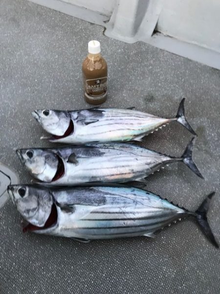 へいみつ丸 釣果