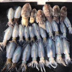まると屋 釣果
