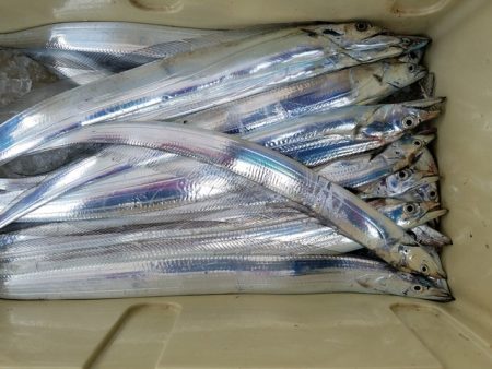 遊漁船　ニライカナイ 釣果