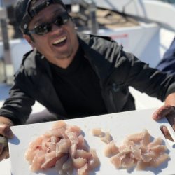 Magic（マジック） 釣果