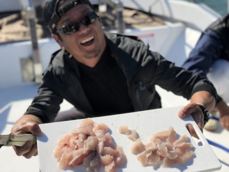 Magic（マジック） 釣果