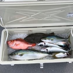 へいみつ丸 釣果