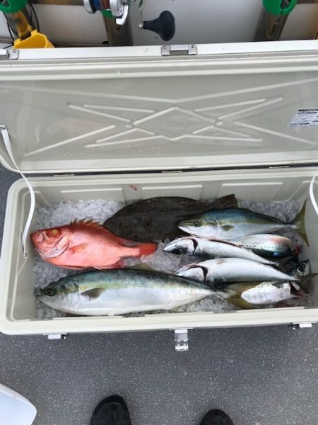 へいみつ丸 釣果